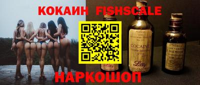 ешки Кингисепп