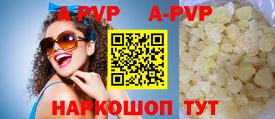 ешки Кингисепп