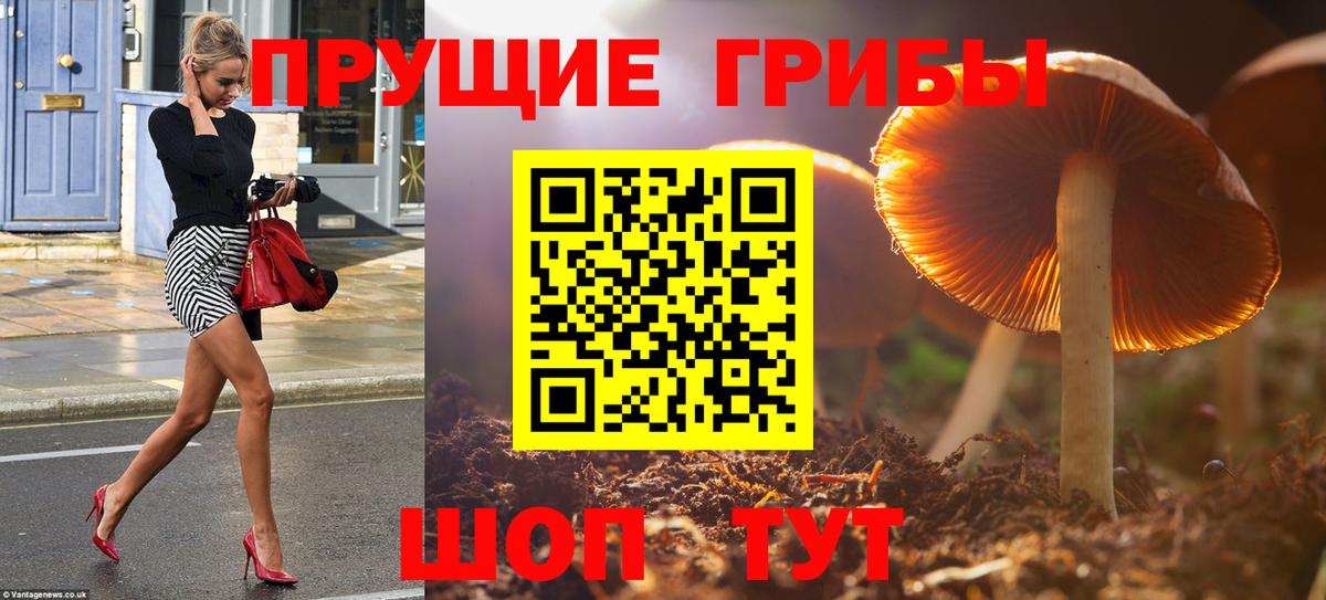 Красный Сулин  Галлюциногенные грибы MAGIC MUSHROOMS  магазин  наркотиков  Вход с VPN 